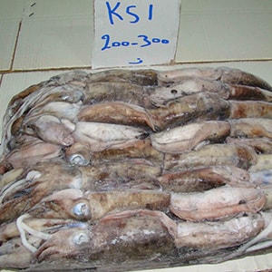 SEAFROZEN CUTTLEFISH | Mah Protein
