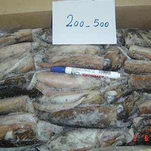 SEAFROZEN CUTTLEFISH | Mah Protein