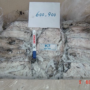 SEAFROZEN CUTTLEFISH | Mah Protein