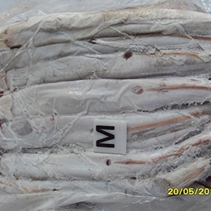 EEL Fish | Mah Protein