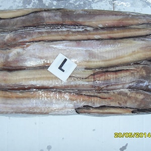 EEL Fish | Mah Protein