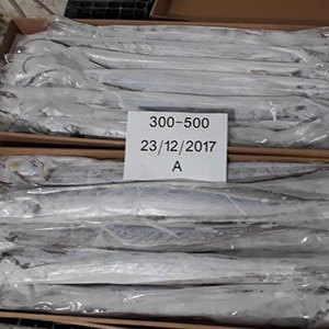 LANDFROZEN HOOK-CATCH RIBBONFISH | Mah Protein
