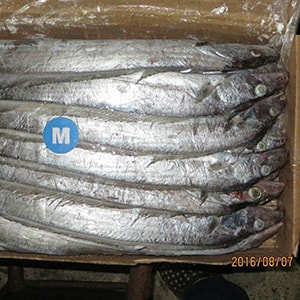 SEAFROZEN TRAWL CATCH RIBBONFISH (Big Eye) | Mah Protein