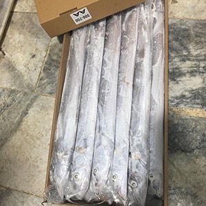 LANDFROZEN HOOK-CATCH RIBBONFISH | Mah Protein