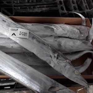 LANDFROZEN HOOK-CATCH RIBBONFISH | Mah Protein
