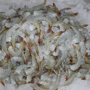 Frozen Farmed Peeled Deveined Vannamei Shrimp - Mah Protein