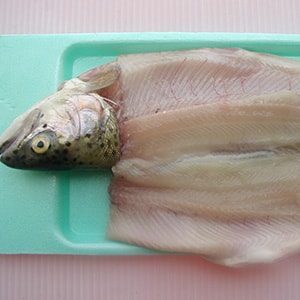 Rainbow Trout Fillet Color